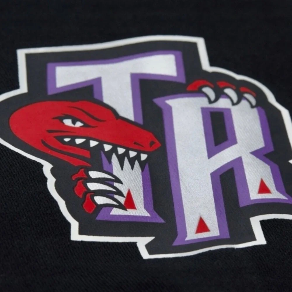 Vince Carter Toronto Raptors 15 NBA Hoodie Large Full Zip TR Basketball‎ HWC M&N